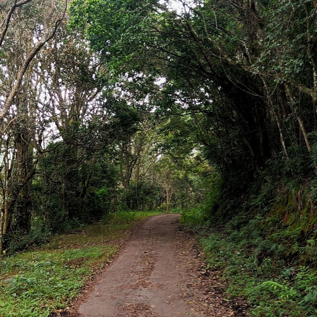 The Mystical Escape&nbsp;Route