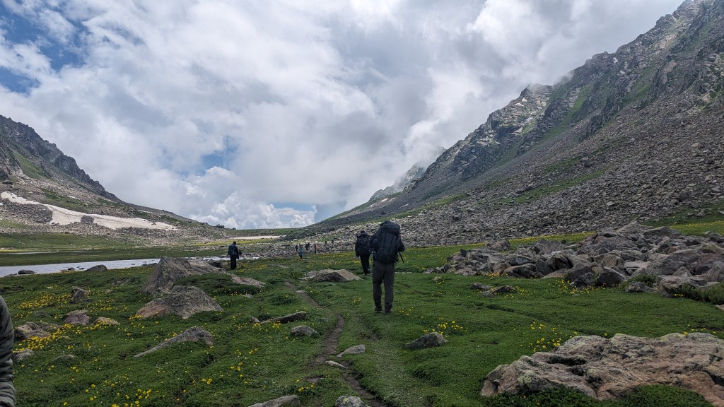 Flowery meadow near Satsar lake